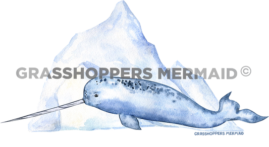 Narwhal Iceberg