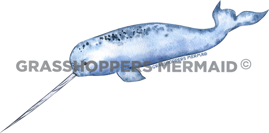 Narwhal Solo