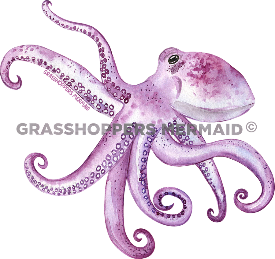 Octopus Dance