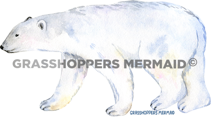 Watercolor Polar Bear