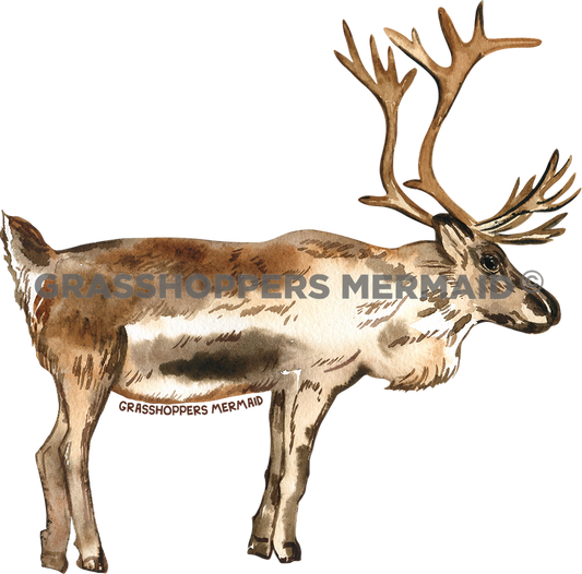 Watercolor Caribou