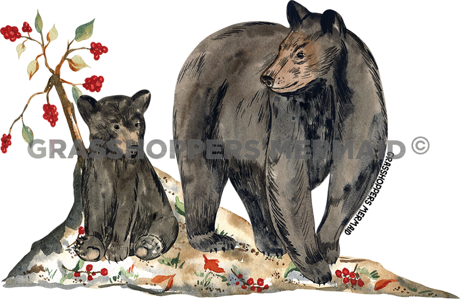 Black Bear & Berries