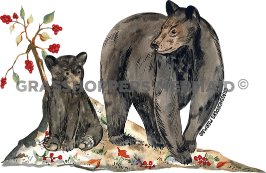 Black Bear & Berries