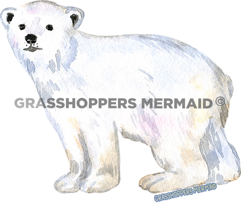 Polar Bear Cub