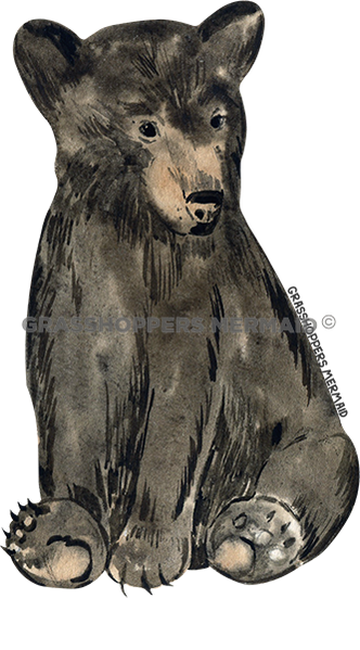 Black Bear Cub Solo