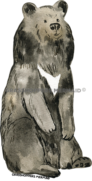 Asiatic Black Bear