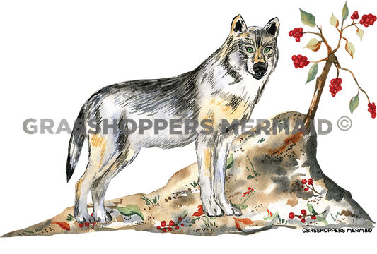 Wolf & Berries
