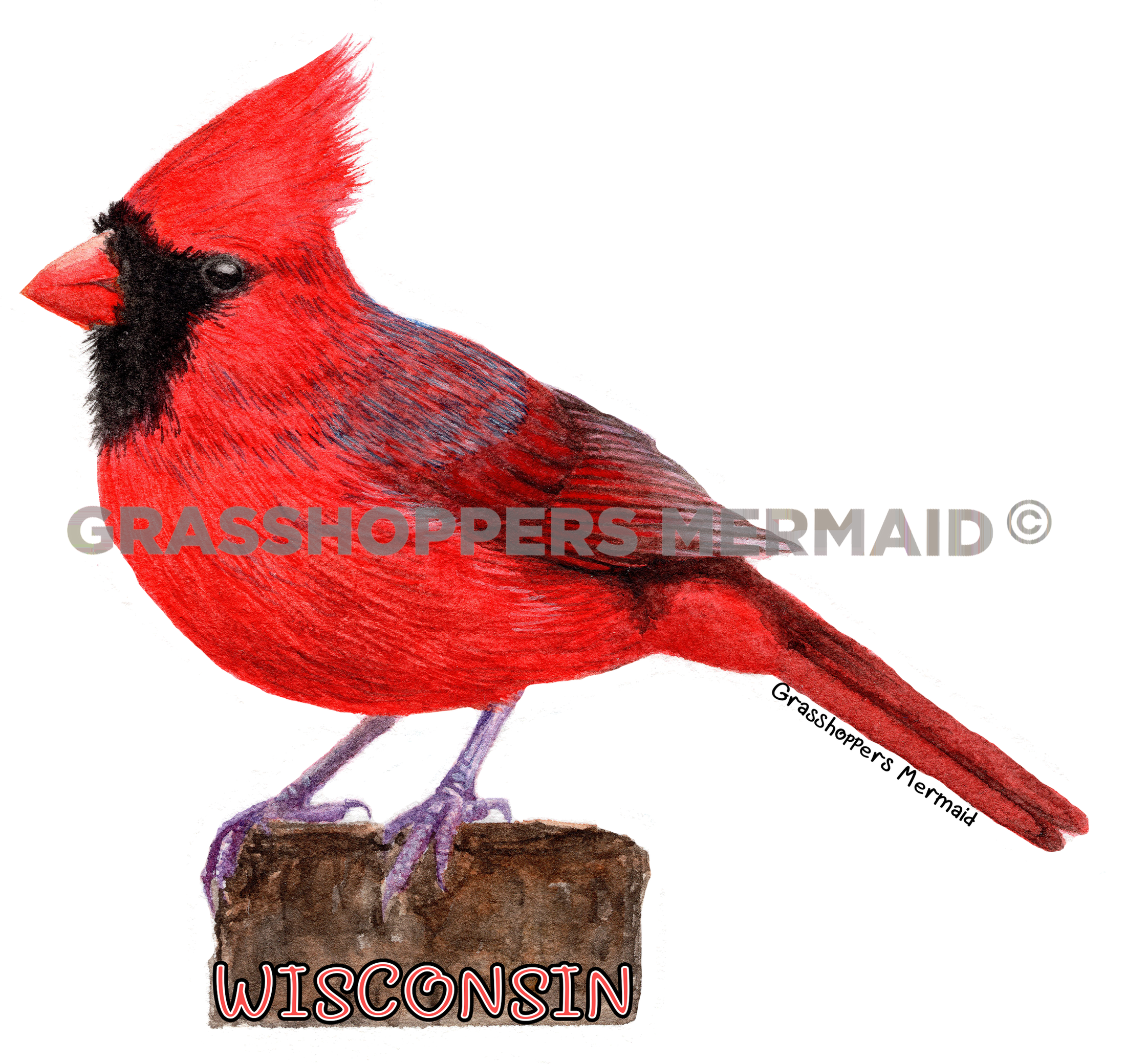 Cardinal