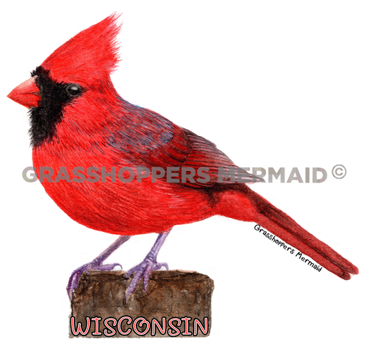 Cardinal