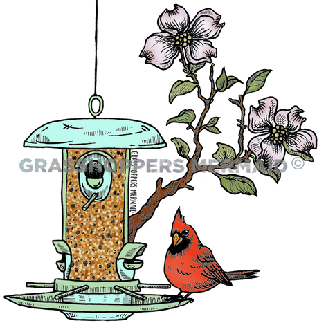 Cardinal Feeder