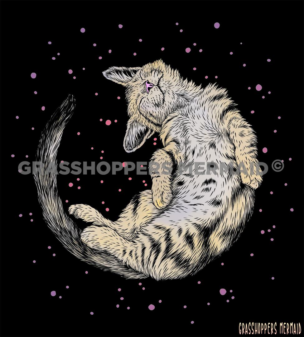 Cat Moon