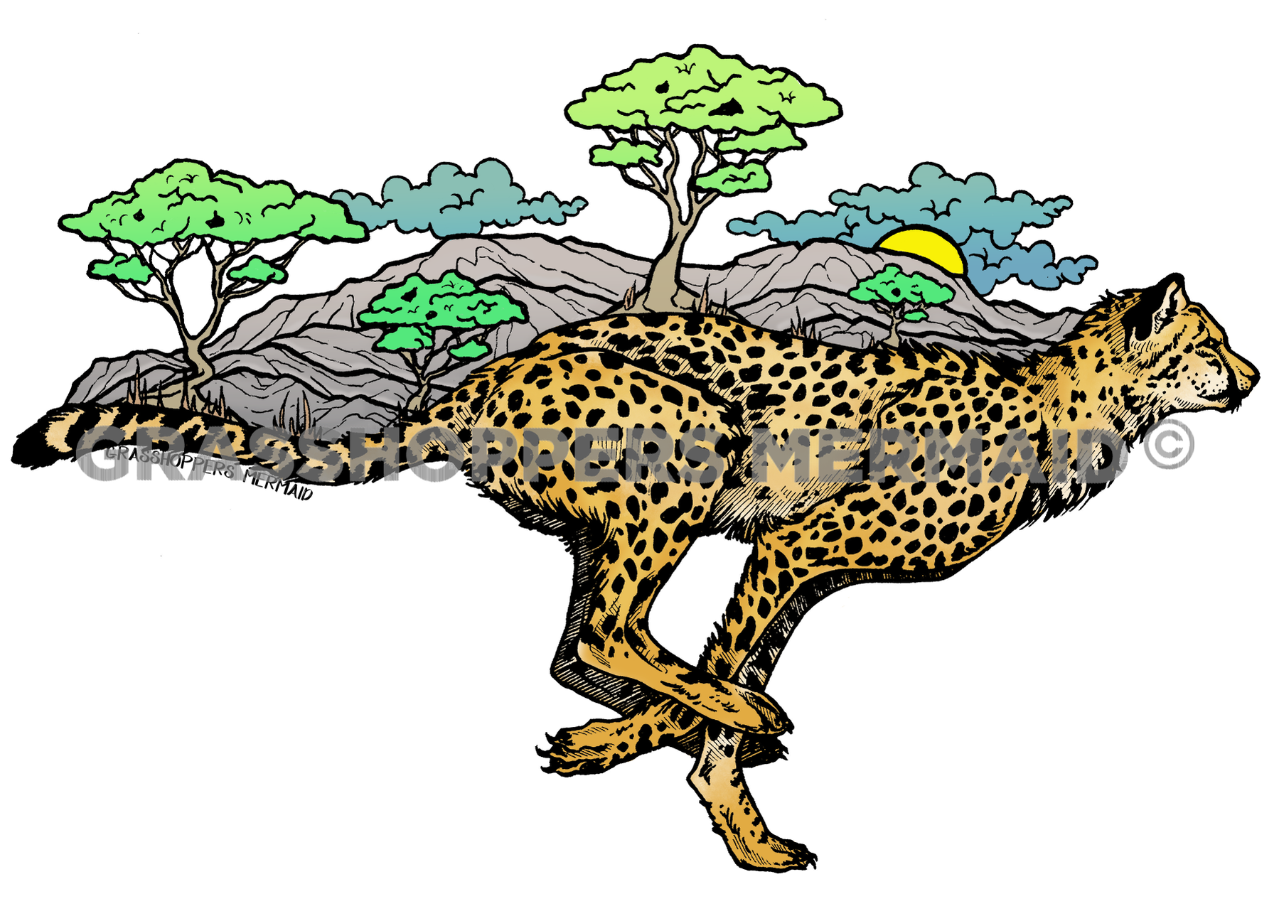 Cheetah Races