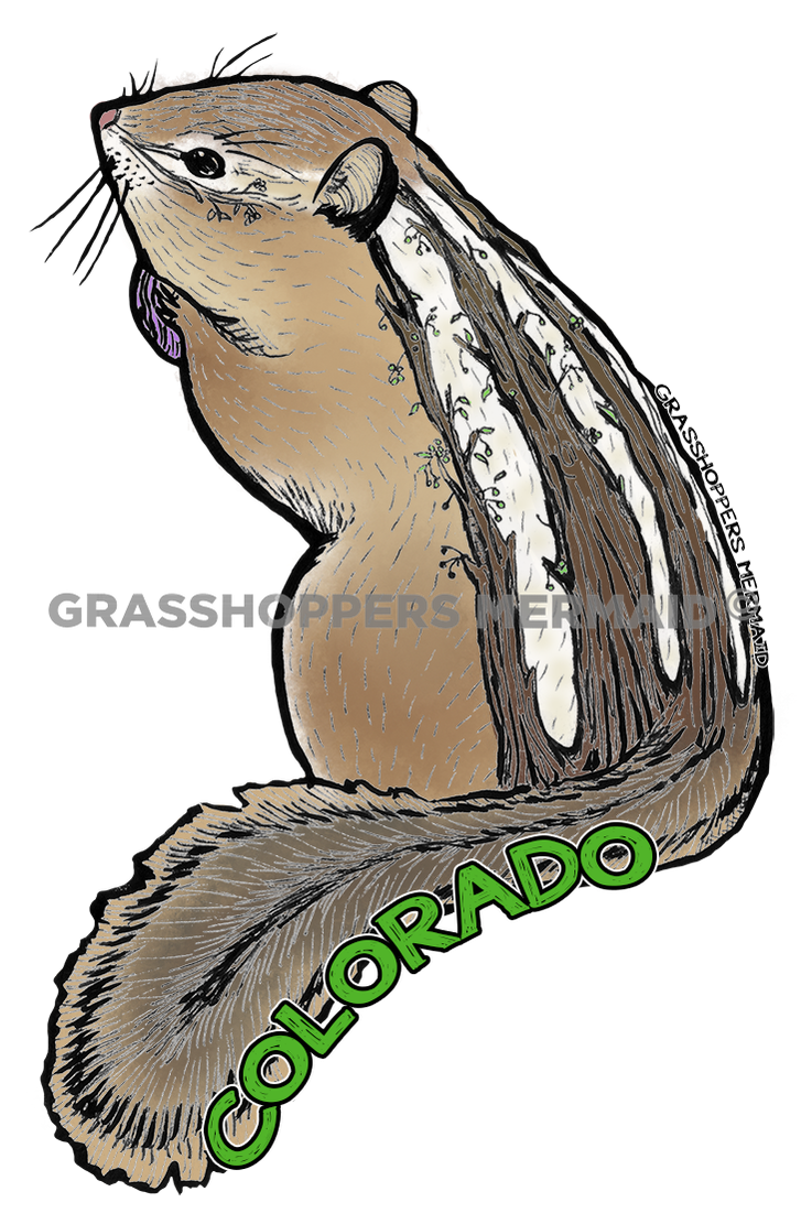 Chipmunk