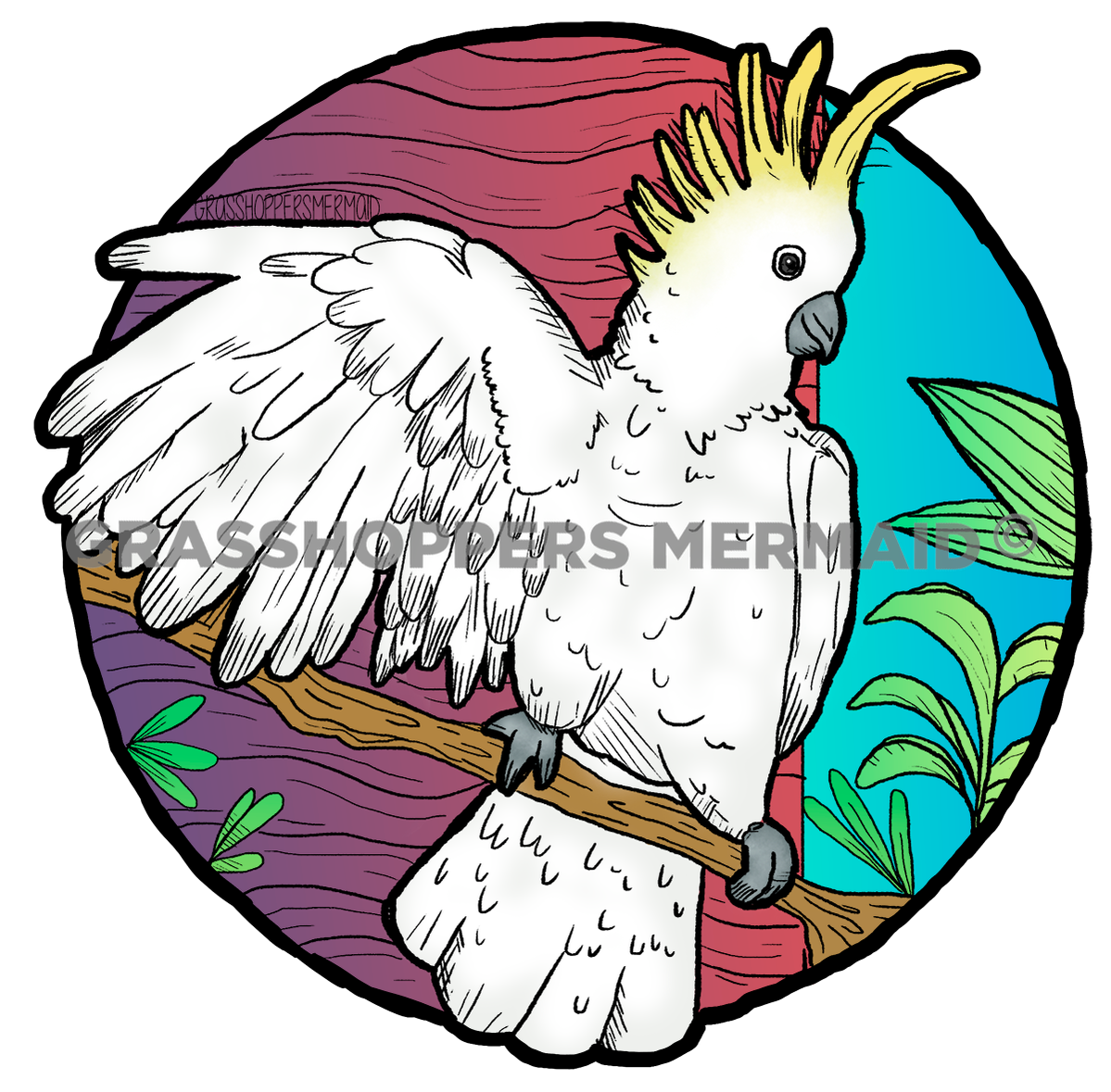 Cockatoo
