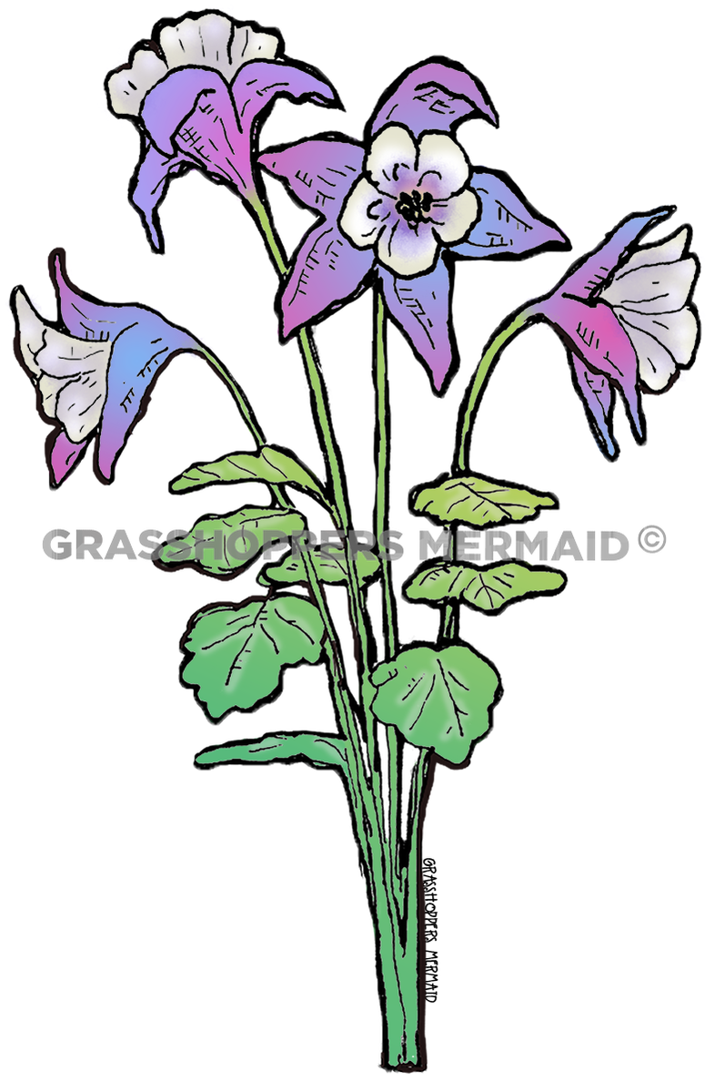Columbine Bouquet
