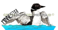 Load image into Gallery viewer, Common Loon
