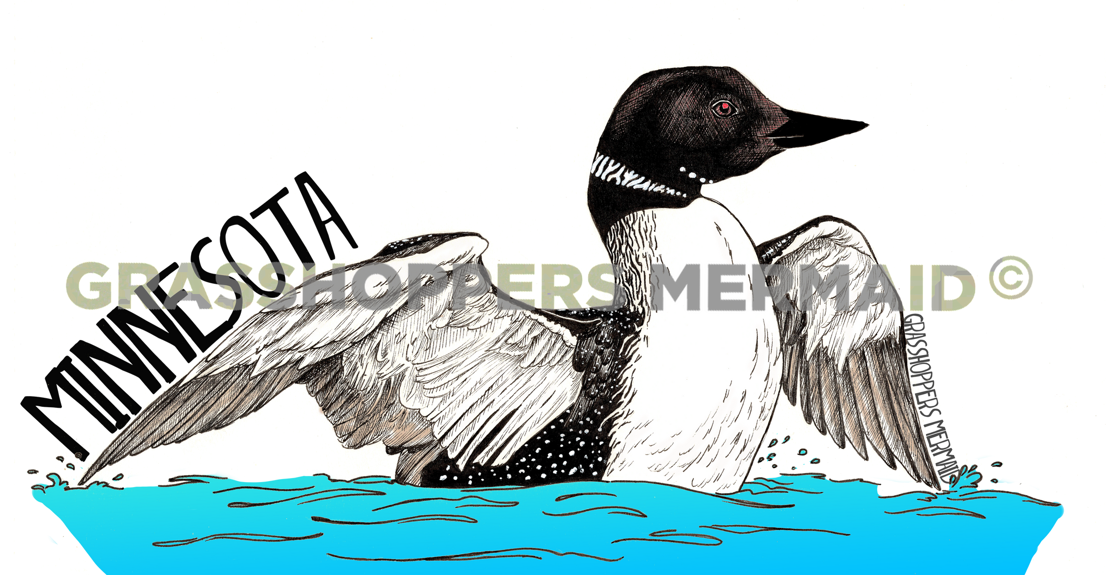Common Loon