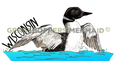 Load image into Gallery viewer, Common Loon
