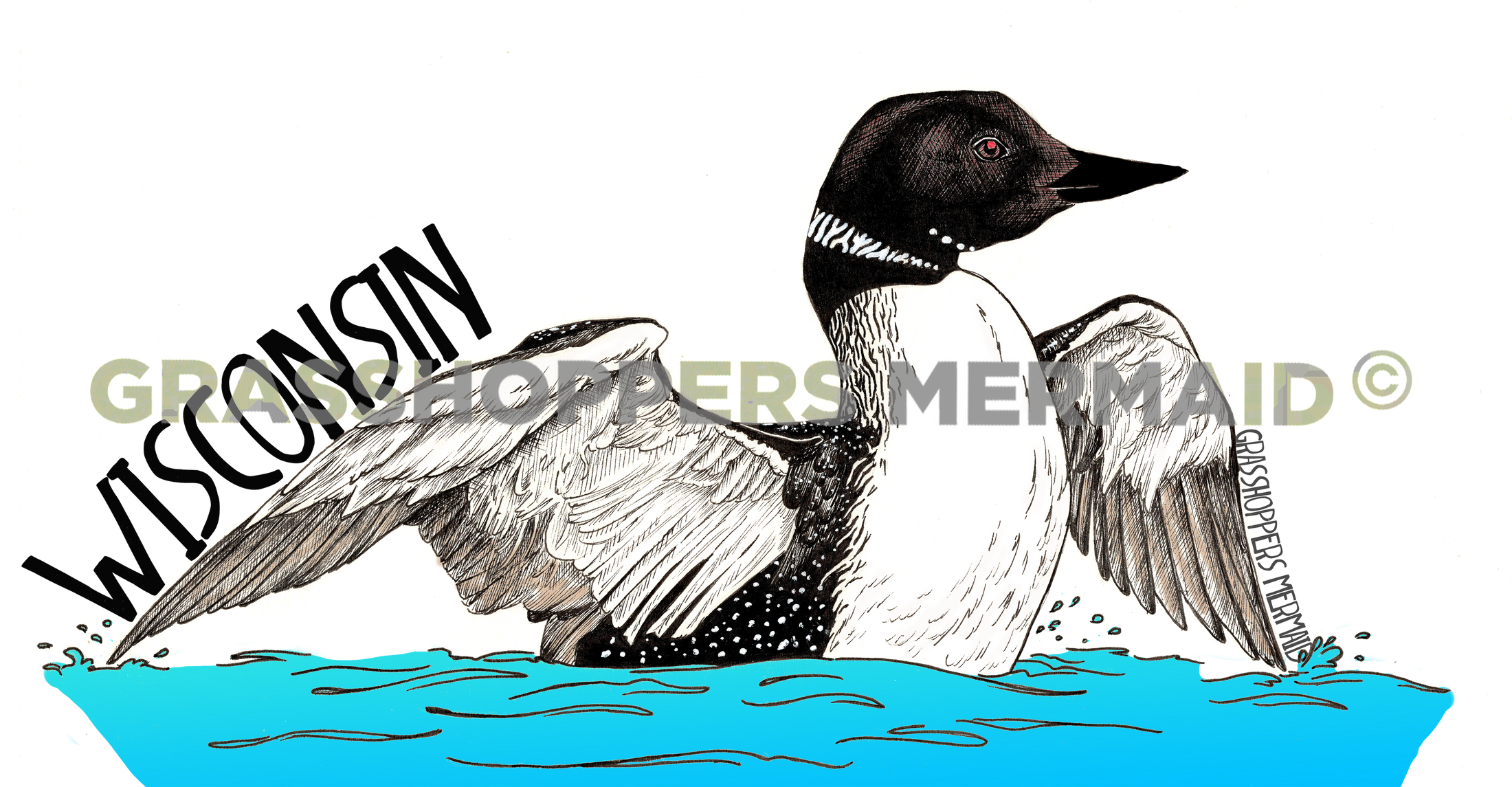 Common Loon