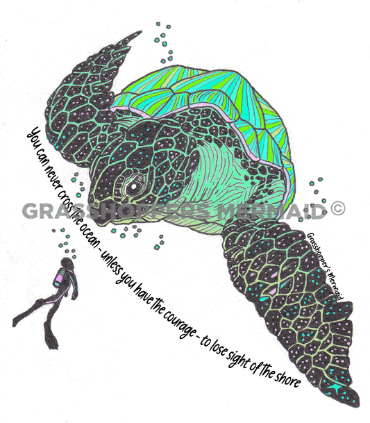 Cosmic Turtle