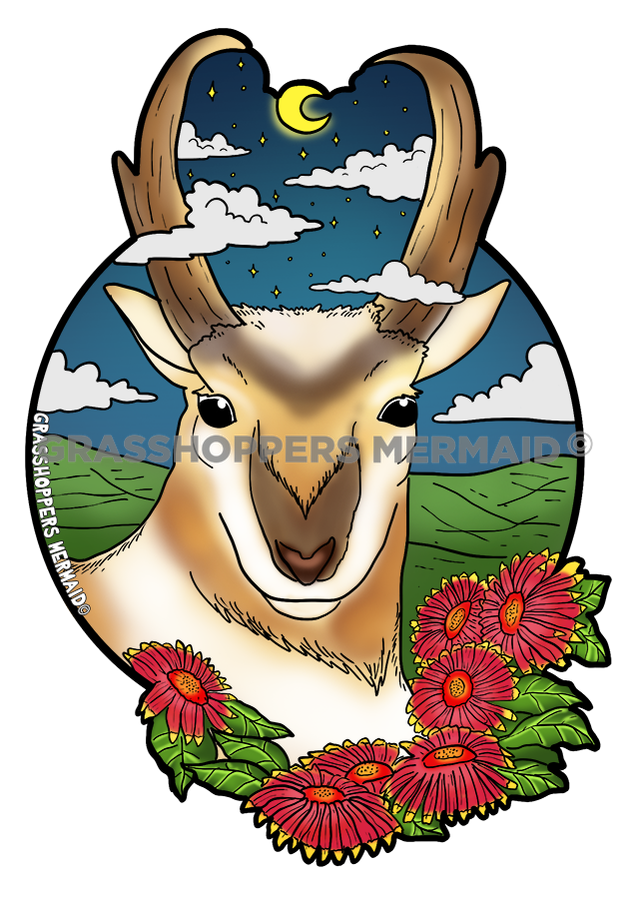 Pronghorn Night