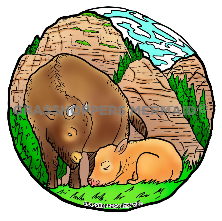 Bison Family