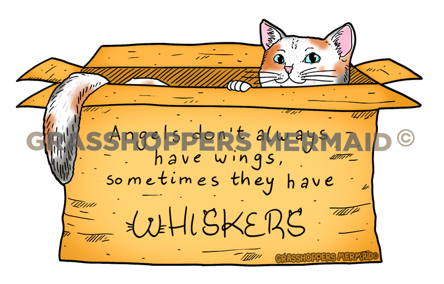 Angels Have Whiskers