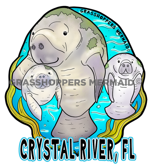 An artistic sticker of a manatee family consisting of one large manatee and two smaller calves swimming in blue water with yellow seagrass and "Crystal River, FL" text.
