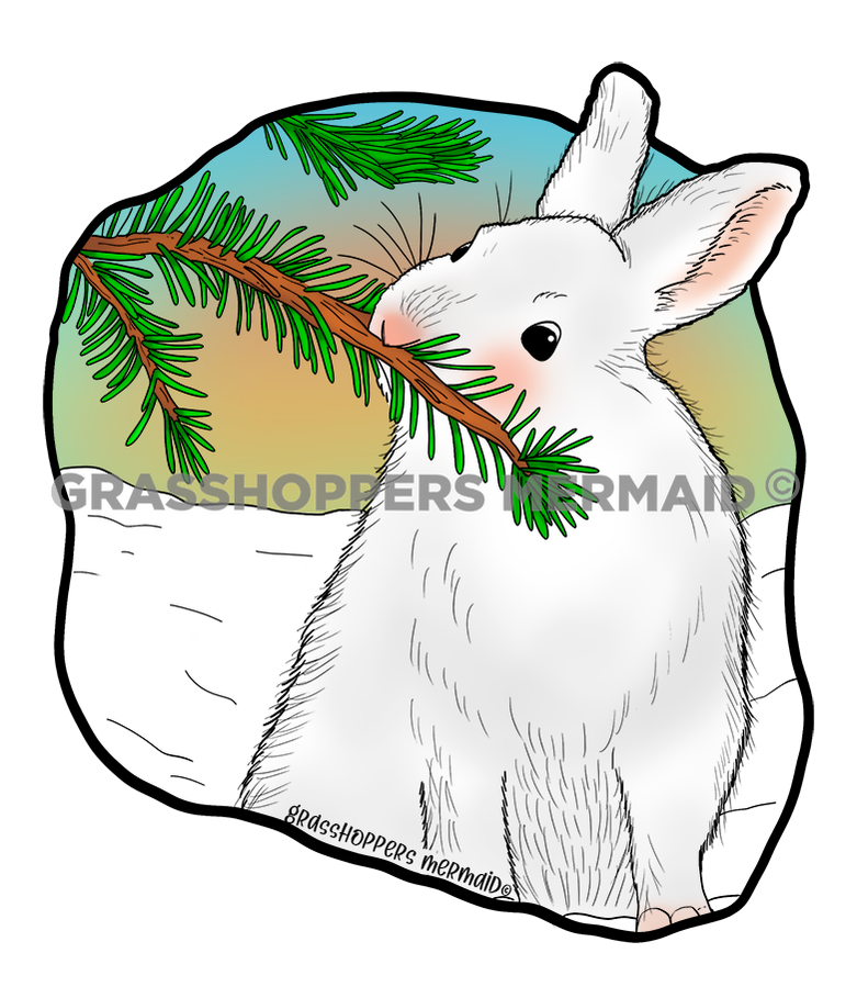 Snowshoe Hare