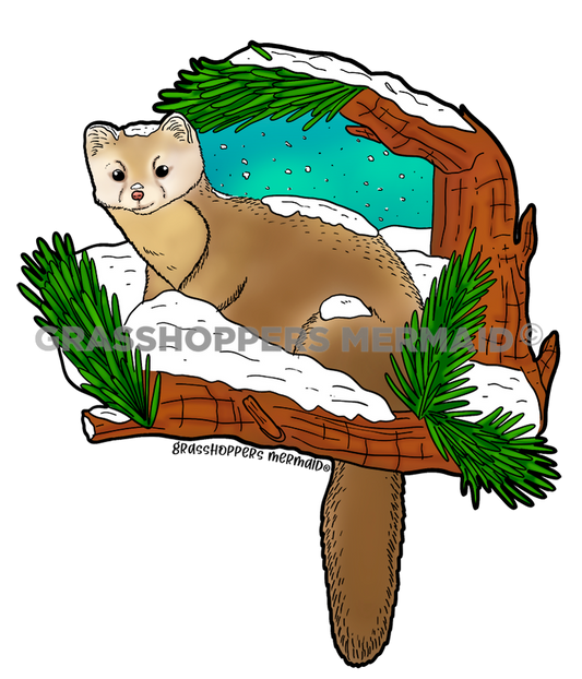Marten