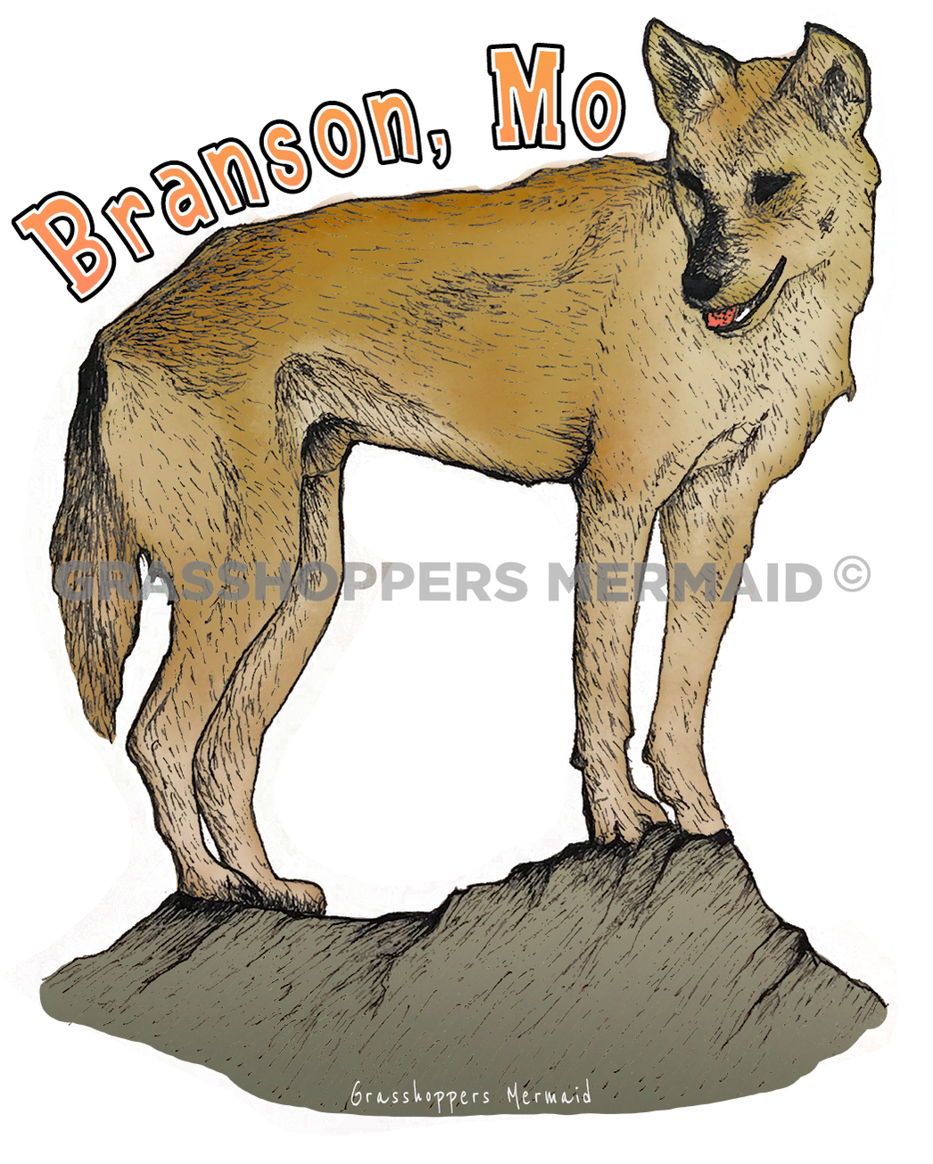 Dingo