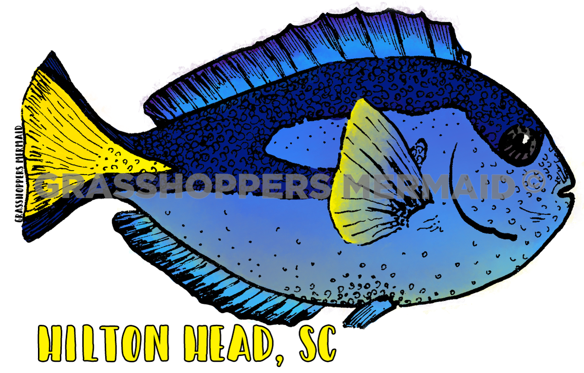 Dory Found