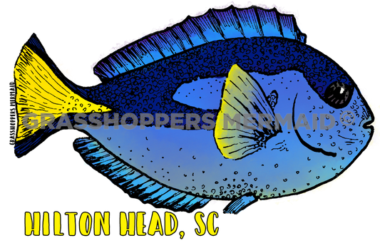 Dory Found