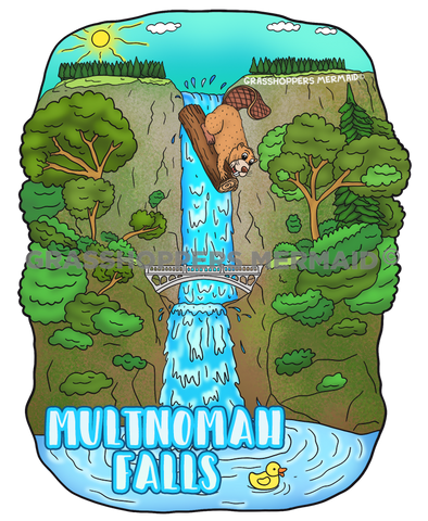 Waterfall Beaver