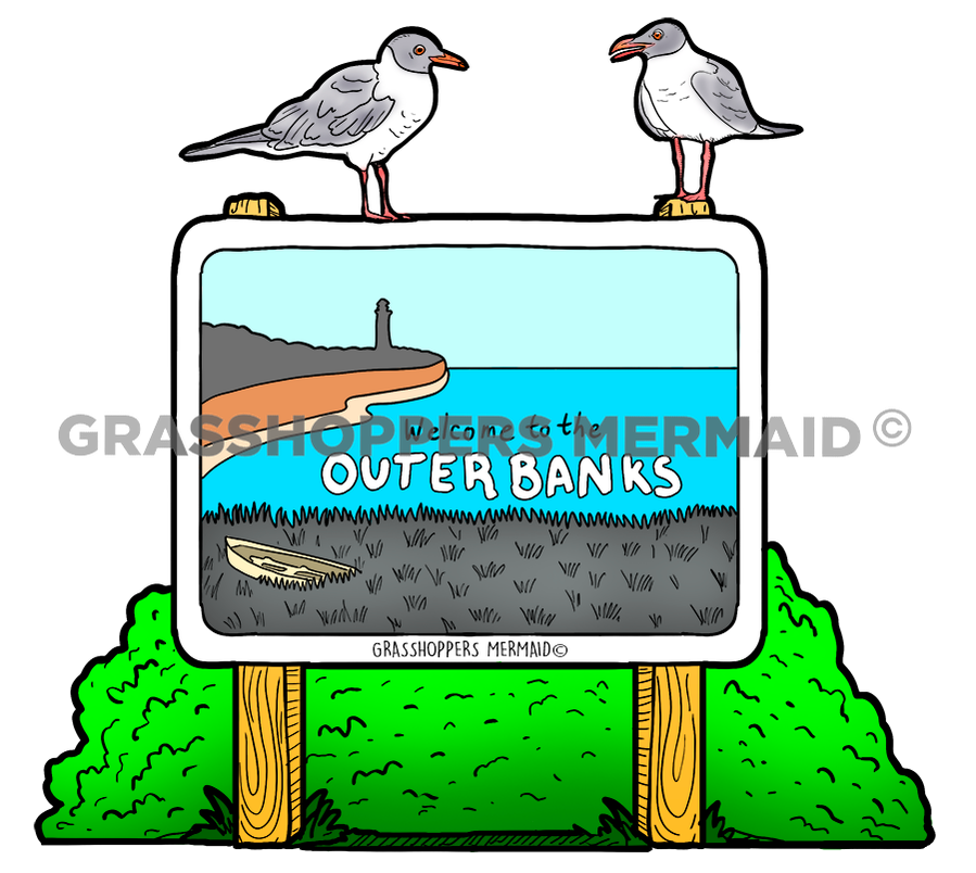 Outer Banks Seagulls