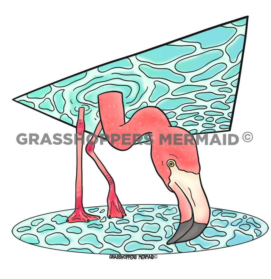 Flamingo Reflection