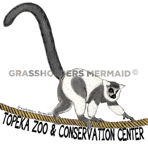 White Ruffed Lemur Strut