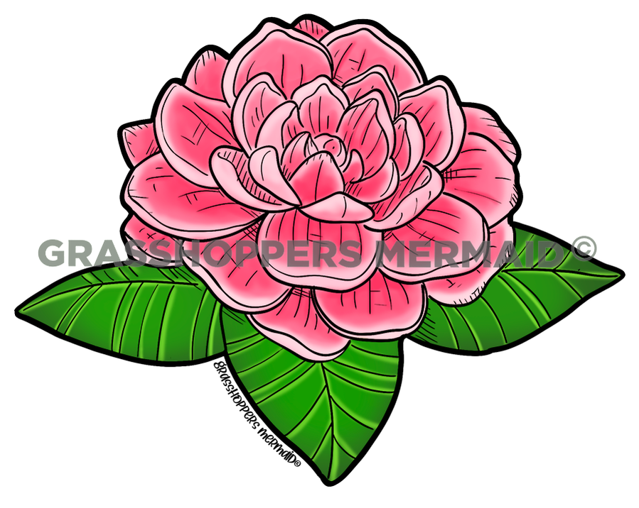 Camellia