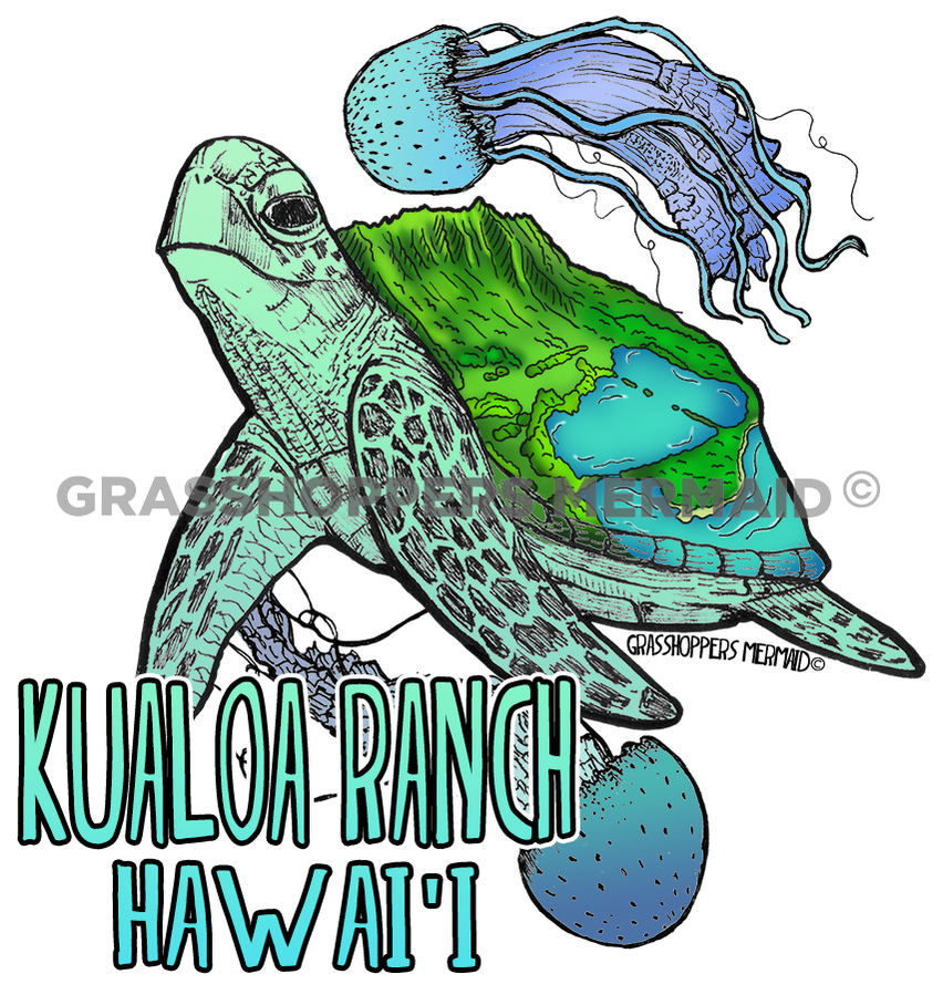 Moli'i Pond Sea Turtle
