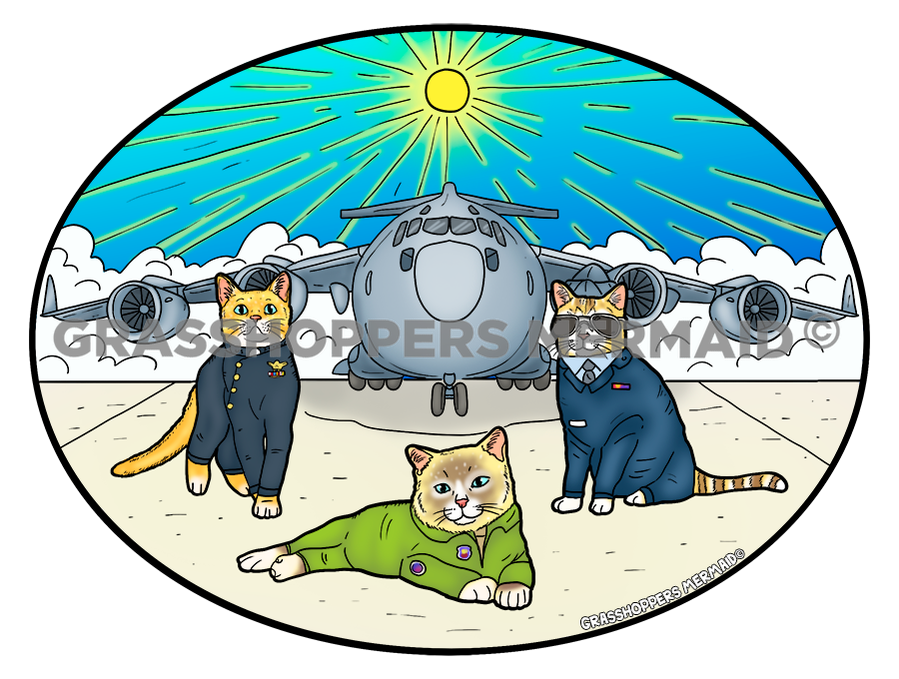 Airforce Cats