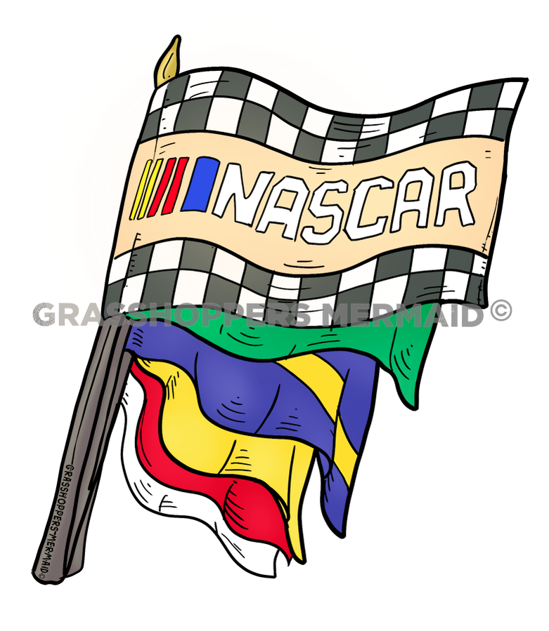 NASCAR Flags