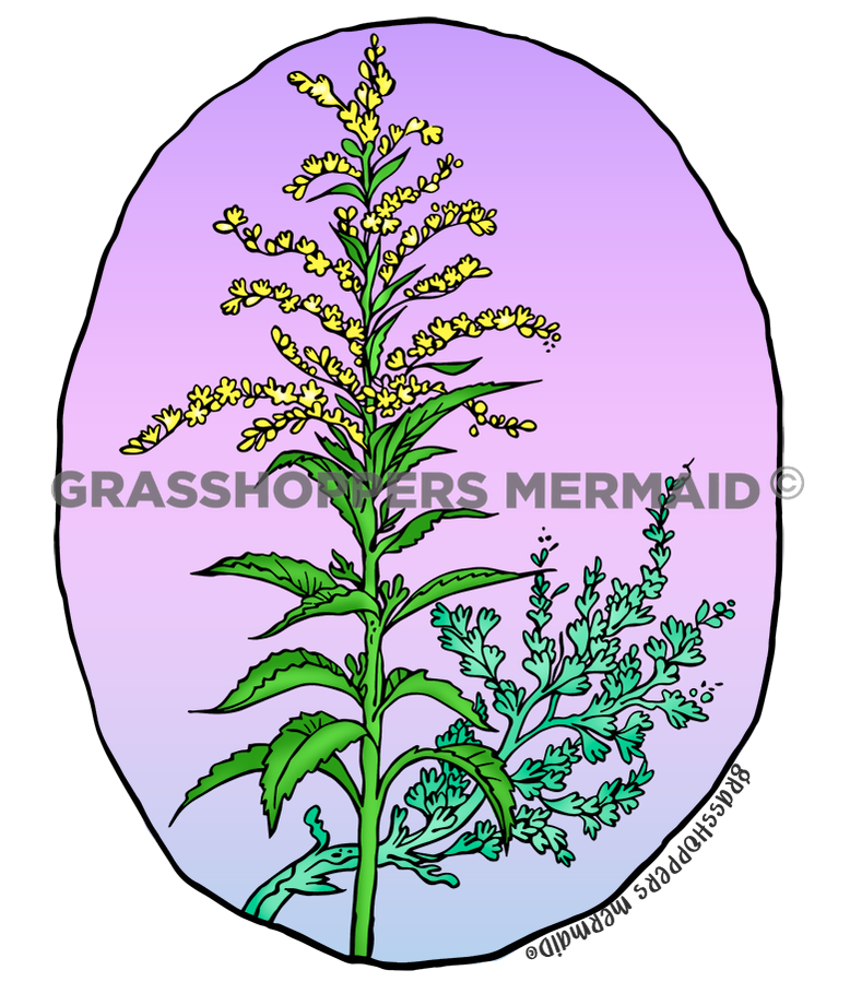 Goldenrod & Sage