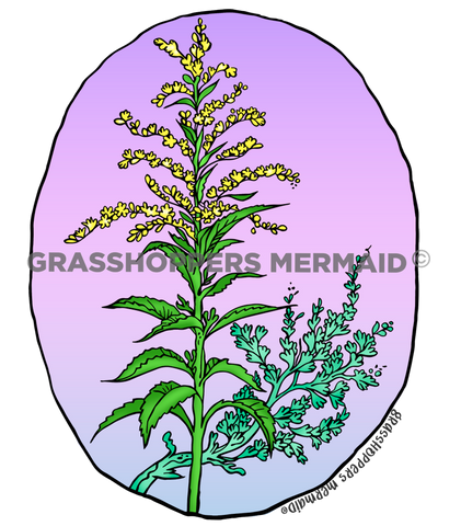 Goldenrod & Sage