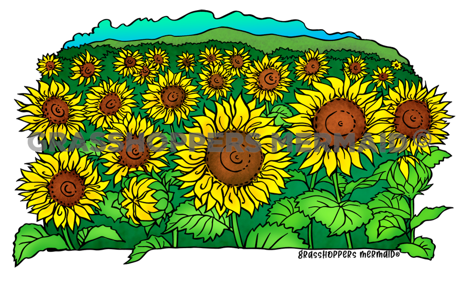 Sunflower Field