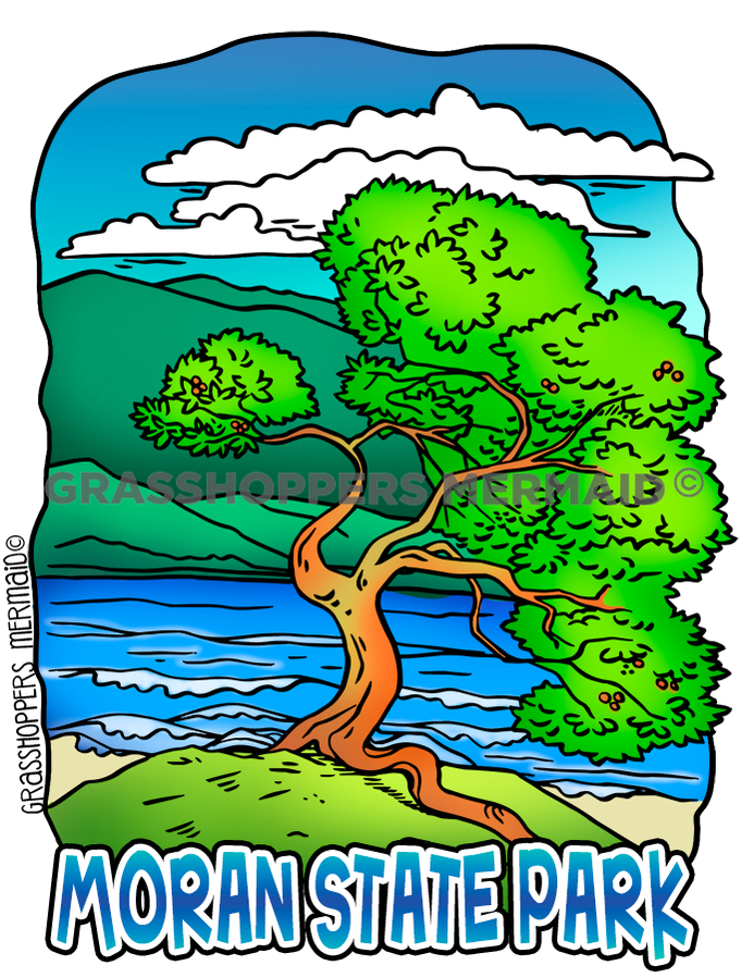 Madrone Tree