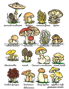Mushroom Collage