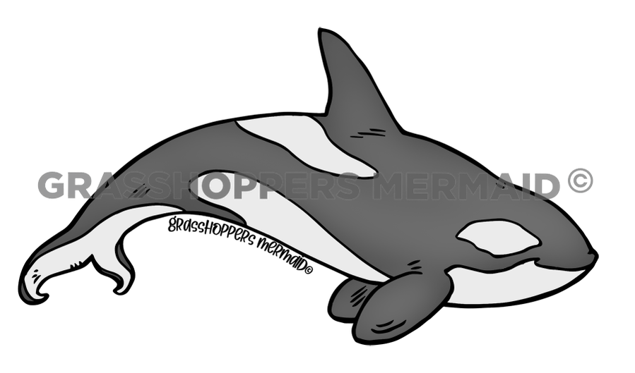 Orca Solo