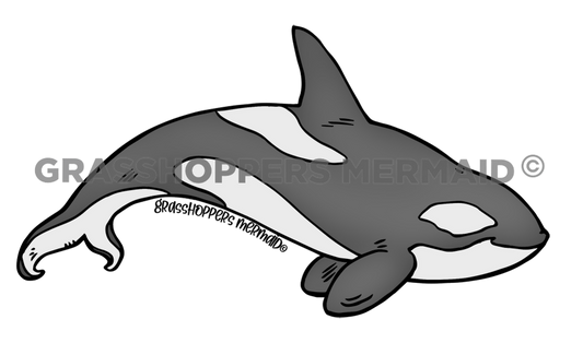 Orca Solo