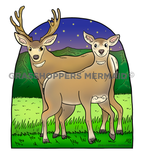 Mesa Mule Deer