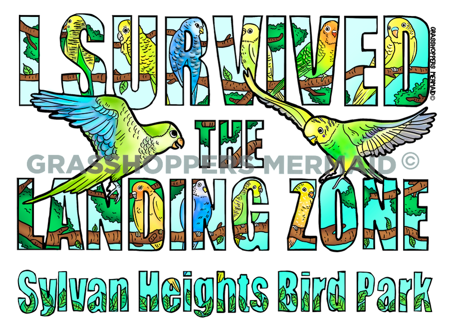I Survived the Landing Zone